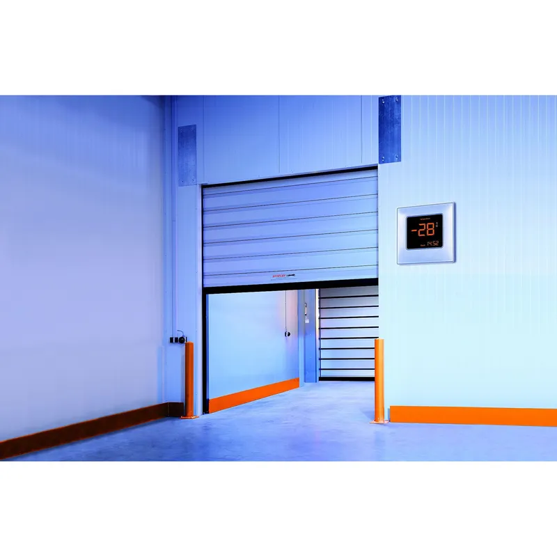 EFAFLEX EFA-SST TK-100 273 Warm side, головний вигляд воріт